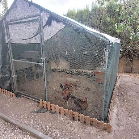 Casita De Invitados En Отура Экстерьер фото